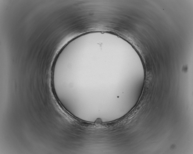 X0000096991187200802291202