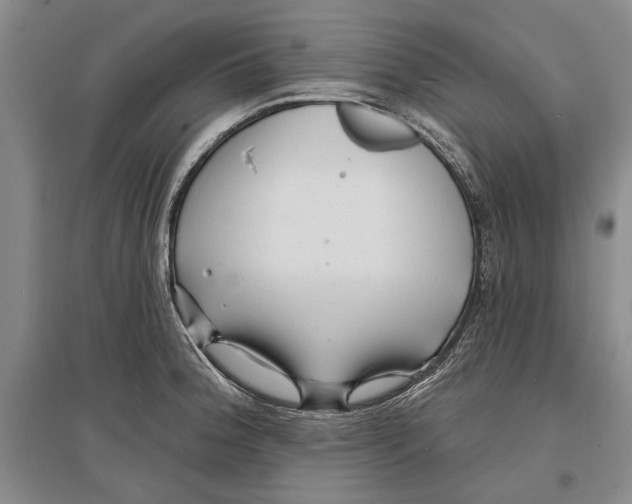 X0000096991188200802291202