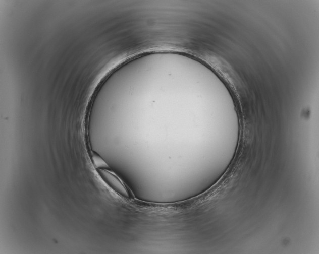 X0000096991189200802291202