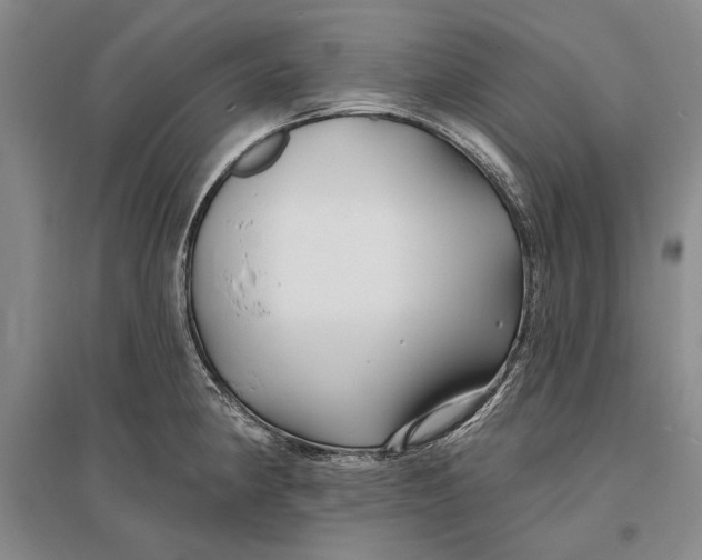 X0000096991190200802291202