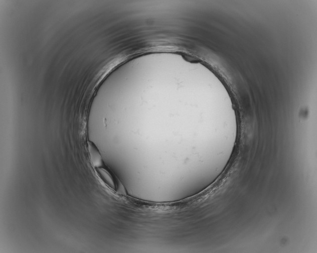 X0000096991193200802291202