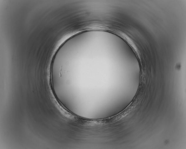 X0000096991195200802291202