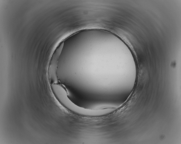 X0000096991197200802291202