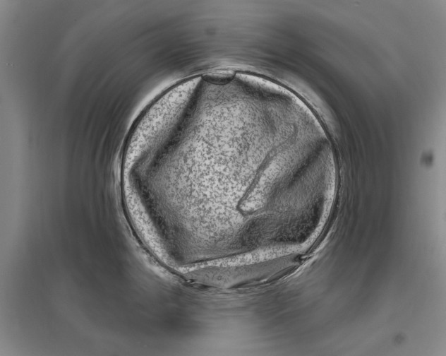 X0000096991198200802291202