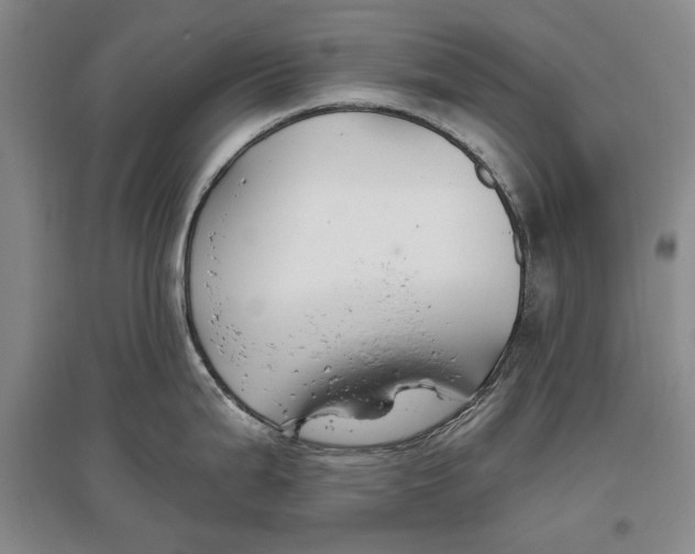 X0000096991199200802291202