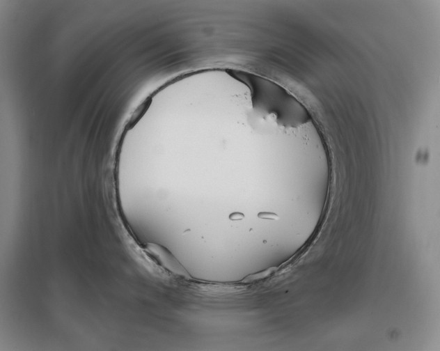 X0000096991200200802291202