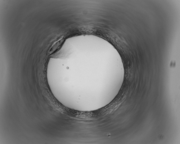 X0000096991201200802291201