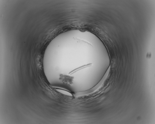 X0000096991202200802291201