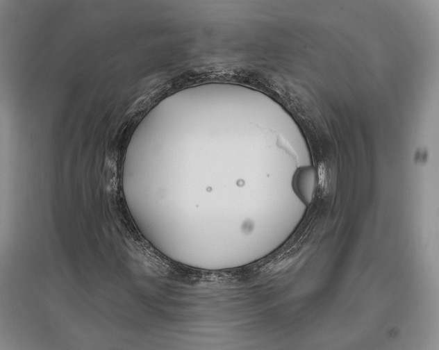 X0000096991203200802291201