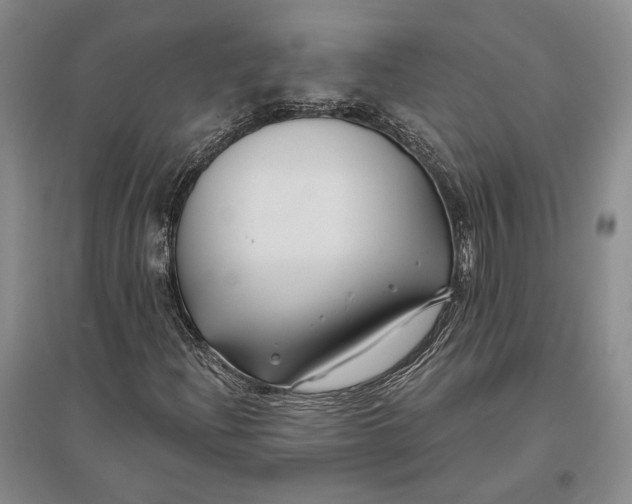 X0000096991204200802291201