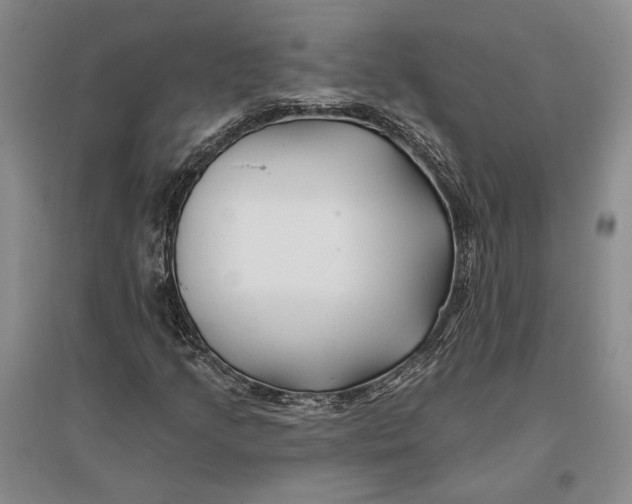 X0000096991205200802291201