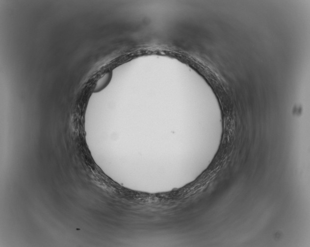 X0000096991207200802291201