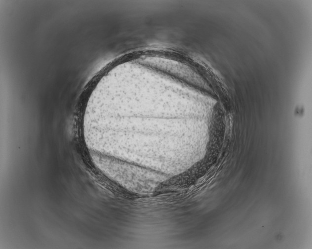 X0000096991208200802291201