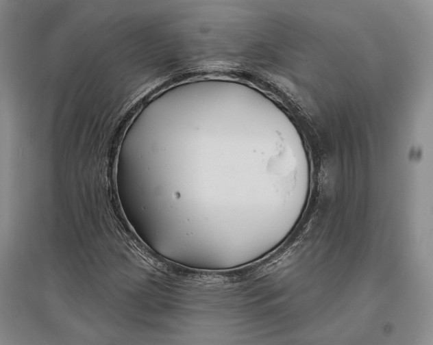 X0000096991209200802291201