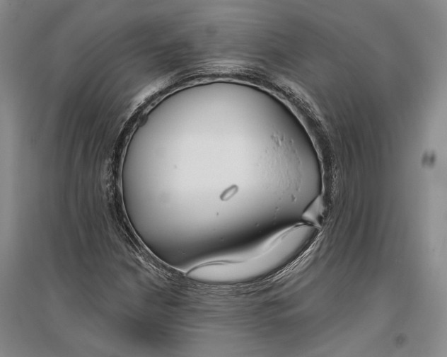 X0000096991210200802291201