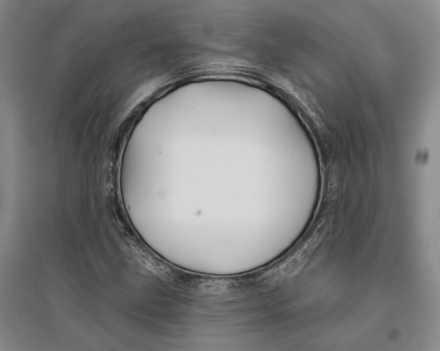 X0000096991211200802291201