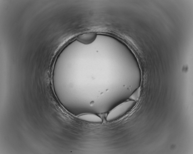 X0000096991212200802291201