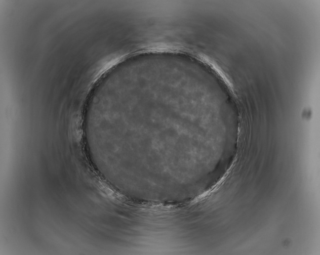 X0000096991213200802291201