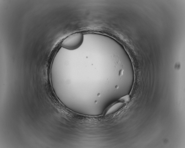 X0000096991214200802291201