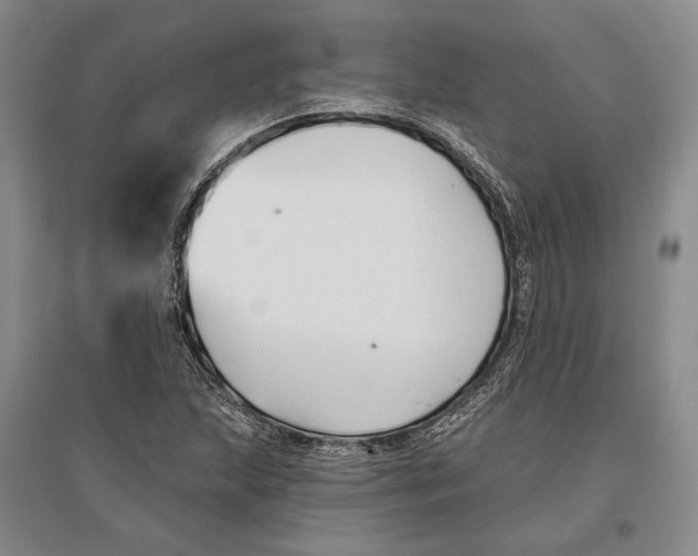 X0000096991215200802291201