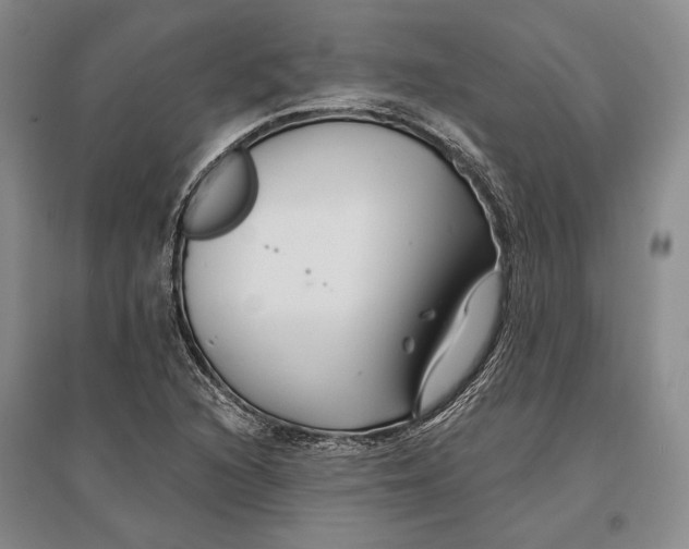 X0000096991216200802291201