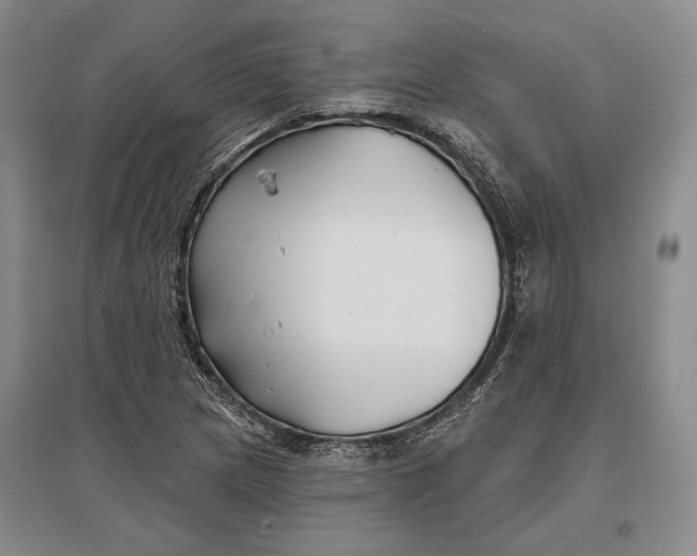 X0000096991217200802291201