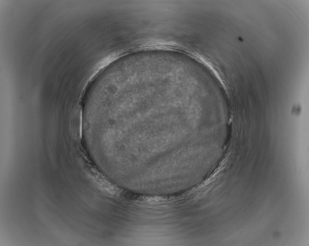 X0000096991219200802291201