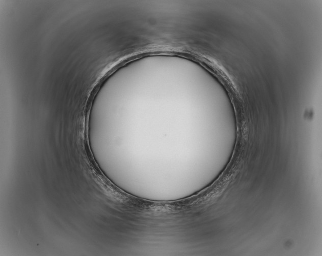 X0000096991220200802291201