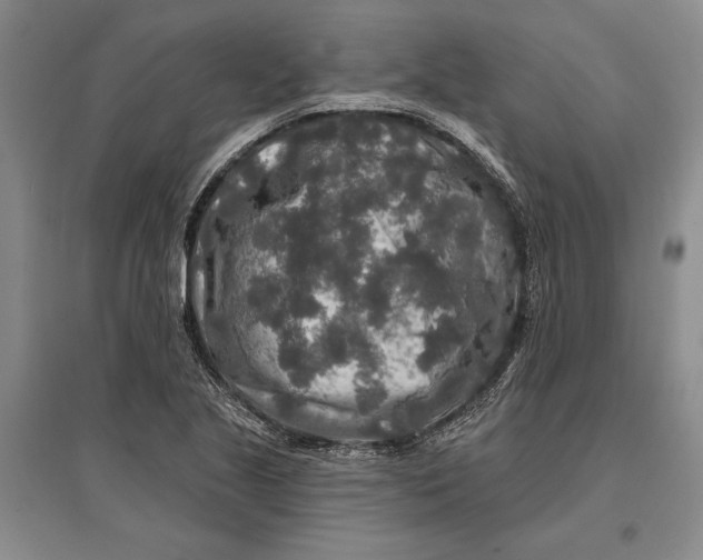 X0000096991221200802291201