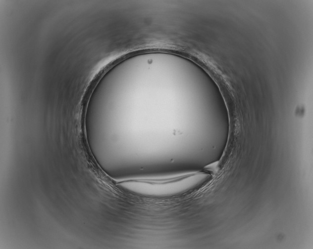 X0000096991222200802291201