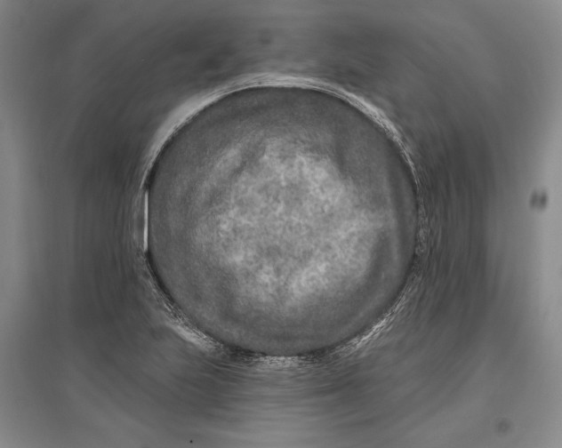 X0000096991223200802291201