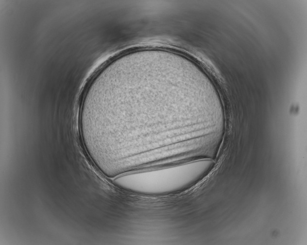 X0000096991224200802291201