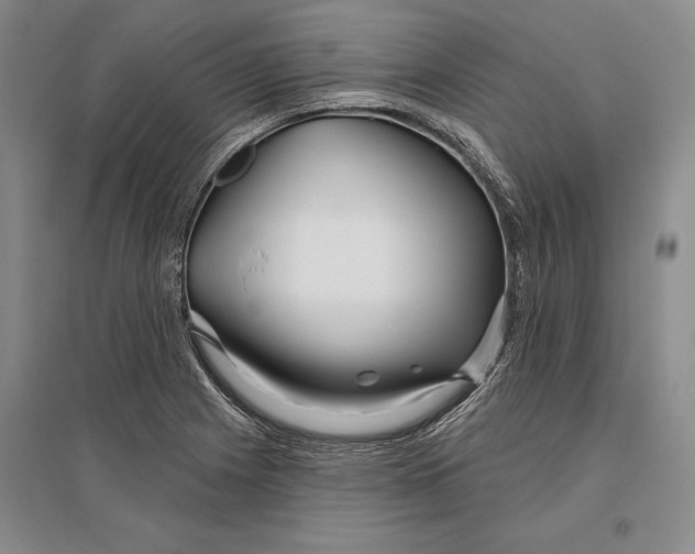 X0000096991225200802291201