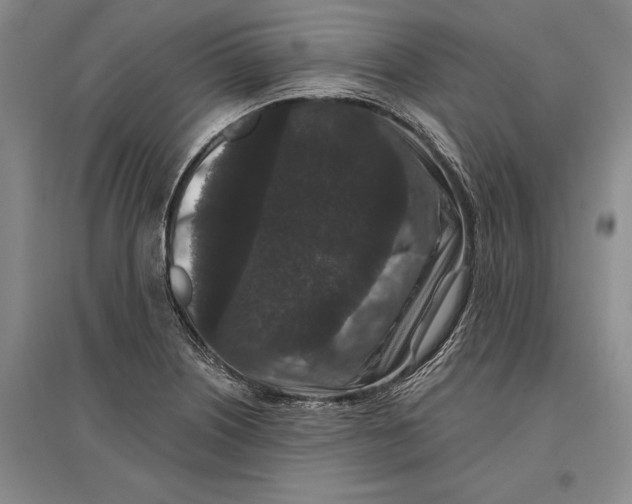 X0000096991226200802291201