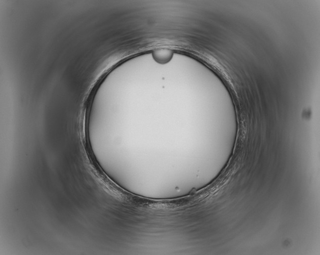 X0000096991227200802291201