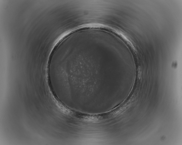 X0000096991229200802291201