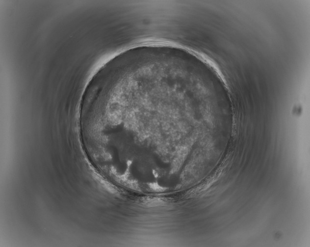 X0000096991231200802291201