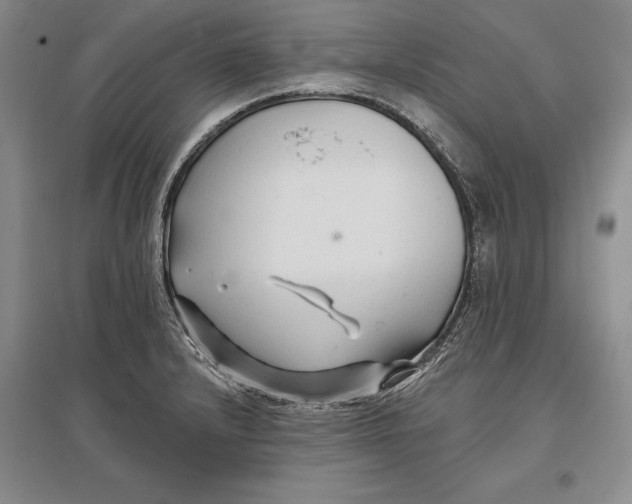 X0000096991232200802291201