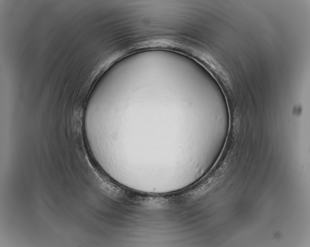 X0000096991233200802291201