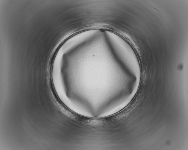 X0000096991235200802291202