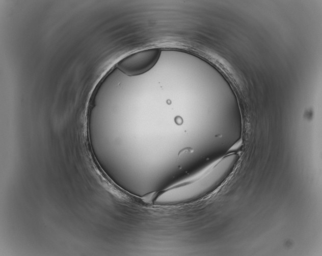 X0000096991236200802291202