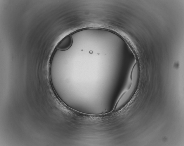 X0000096991238200802291202