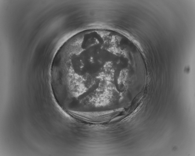 X0000096991239200802291202