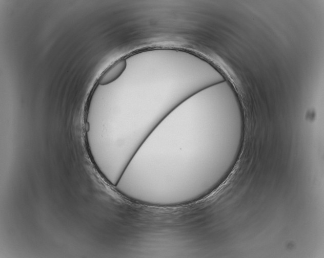 X0000096991240200802291202