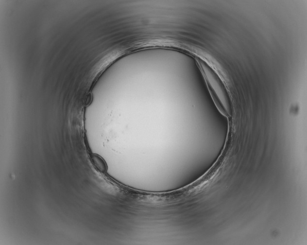 X0000096991241200802291202