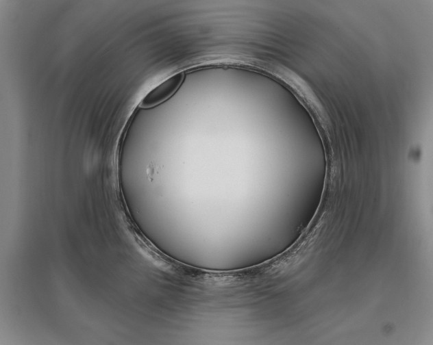 X0000096991242200802291202