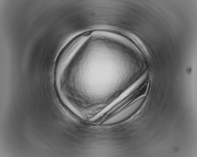 X0000096991244200802291202