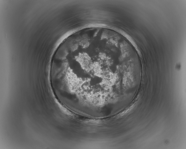 X0000096991245200802291202