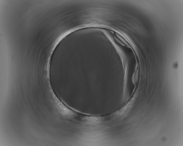 X0000096991246200802291202