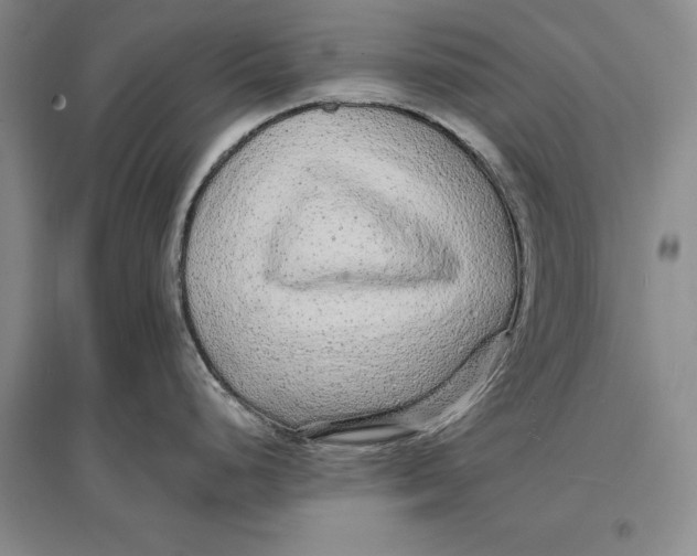 X0000096991248200802291202